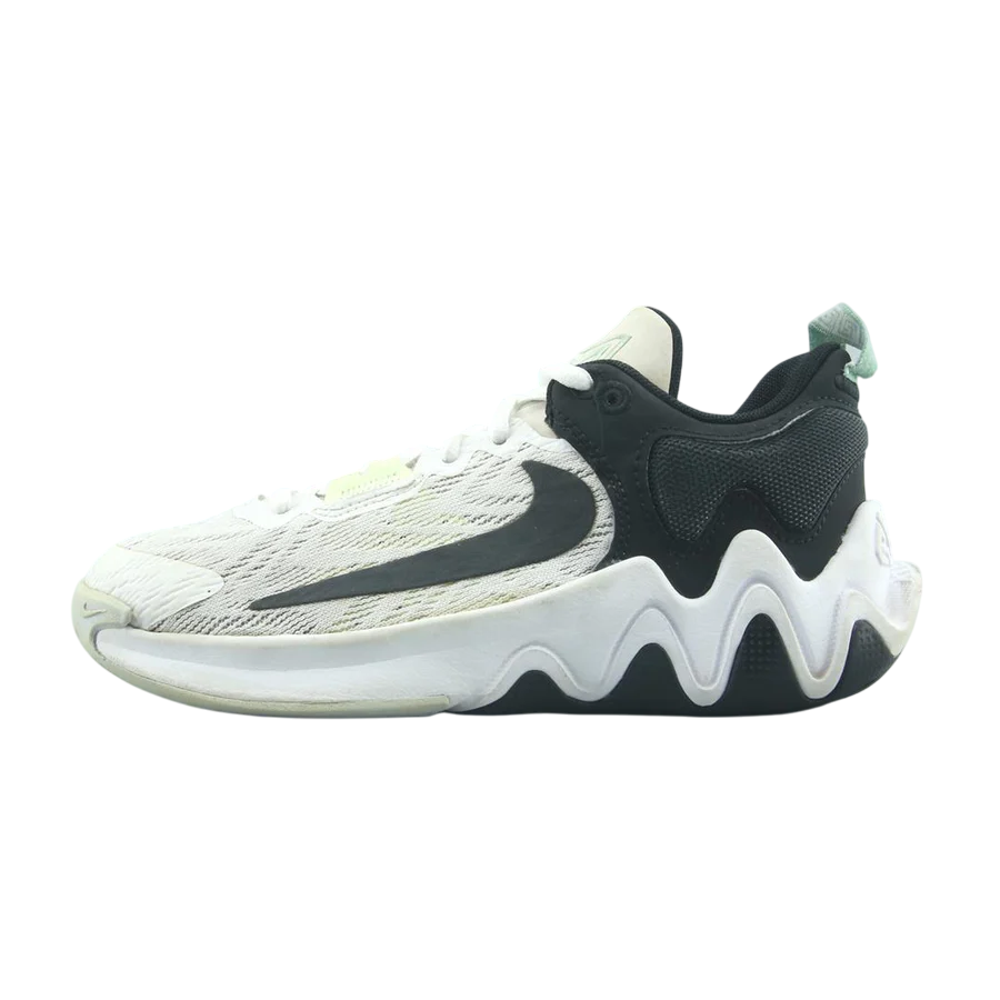 NIKE GIANNIS IMMORTALITY 2