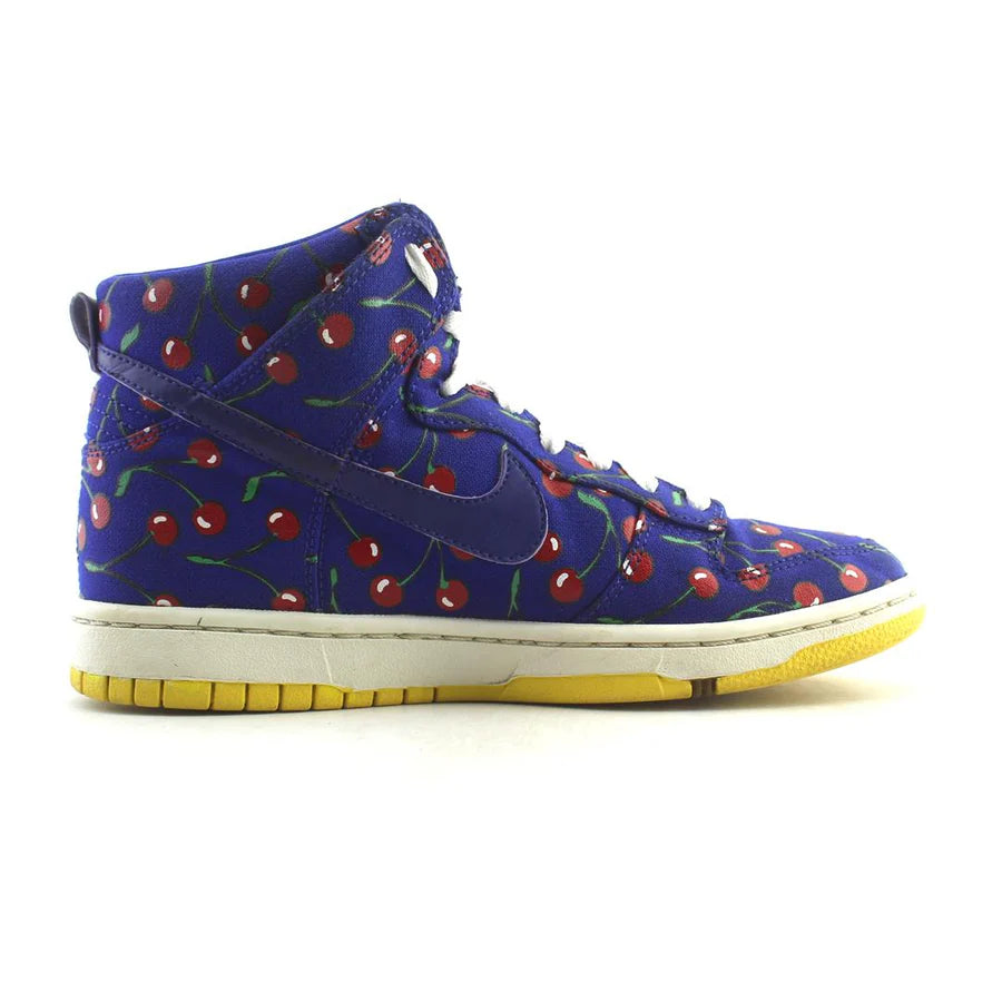 NIKE SB DUNK HIGH