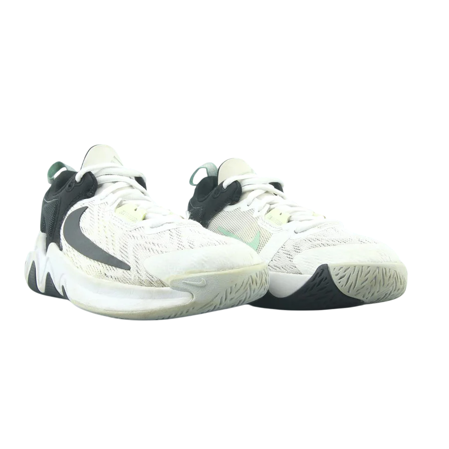 NIKE GIANNIS IMMORTALITY 2