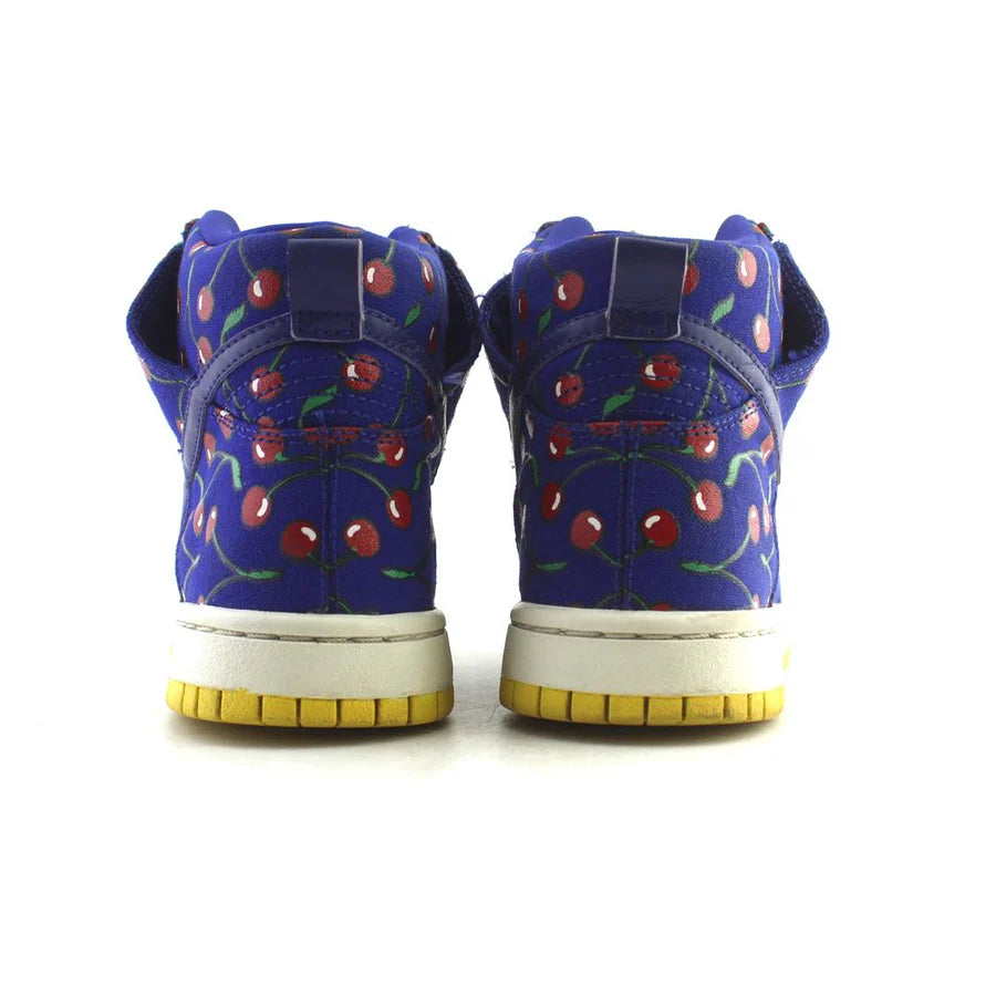 NIKE SB DUNK HIGH